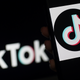 TikTok is displayed on the screen of an iPhone on April 13, 2020, in Arlington, Virginia.